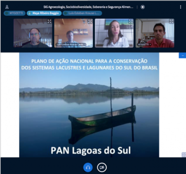 img 2020 04-08 webconferencia pan lagoas do sul