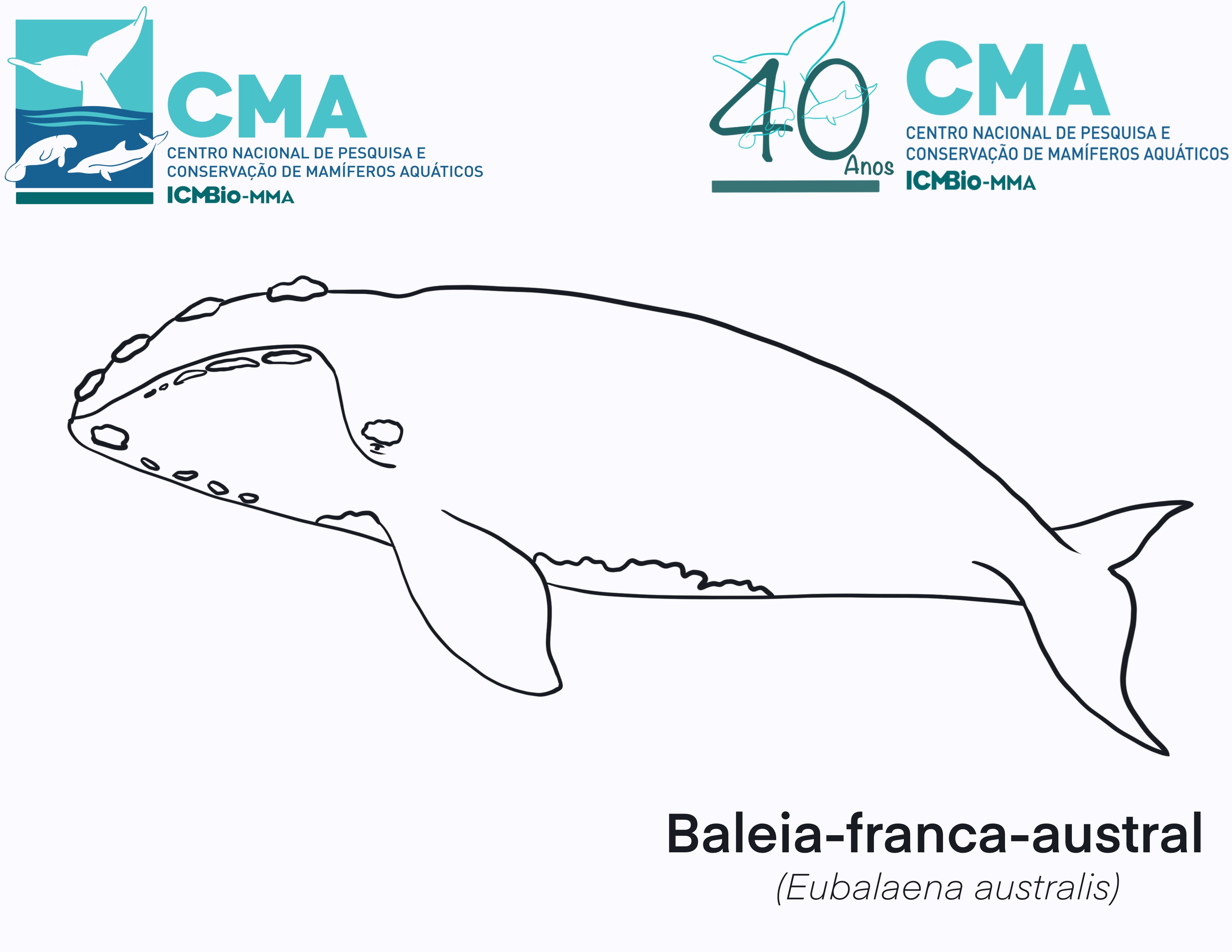 ICMBio - Centro Nacional de Pesquisa e Conservação de Mamíferos Aquáticos -  CMA comemora Dia das Crianças com ilustrações