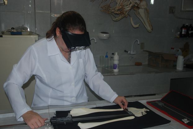 Projeto Osteopatologia - Dra. Ana Bernadete