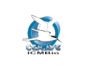 logo CEMAVE