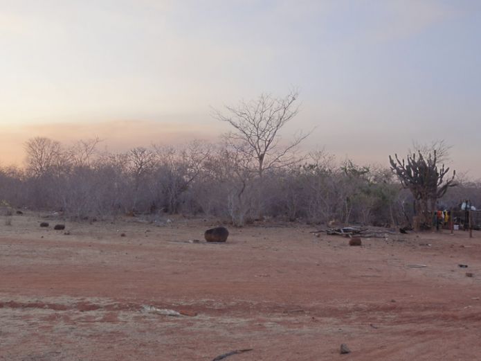 Vegetação característica de Caatinga, localizada no limite a uma estrada vicinal e uma residência, Parque Nacional Nascentes do Rio Parnaíba, MA.